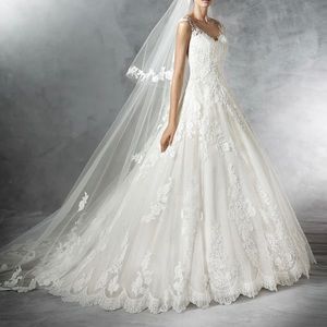 Pronovias Primadonna Wedding Gown